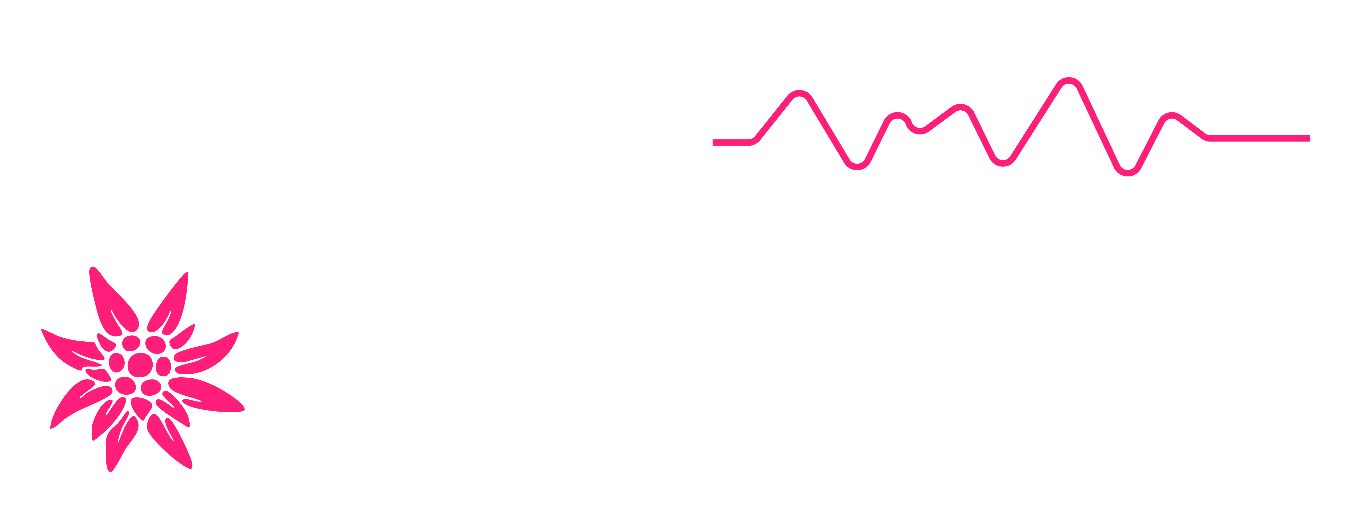 I DE BRÜCH Logo